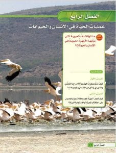 حل عمليات الحياة في الانسان والحيوانات علوم الفصل الرابع سادس ابتدائي الحياة في الانسان والحيوانات 227x300 - حل عمليات الحياة في الانسان والحيوانات علوم الفصل الرابع سادس ابتدائي